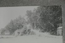 Looking up old beach access road